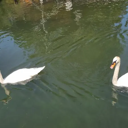 Au Fils De L'eau Straßburg