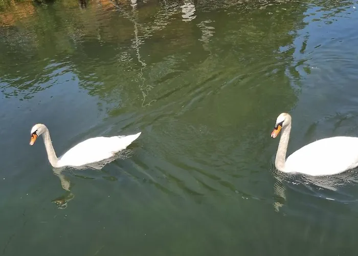 Au Fils De L'eau ستراسبورغ